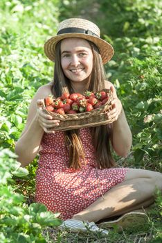 girl in strawberrry field with basket of fresh picked fruits