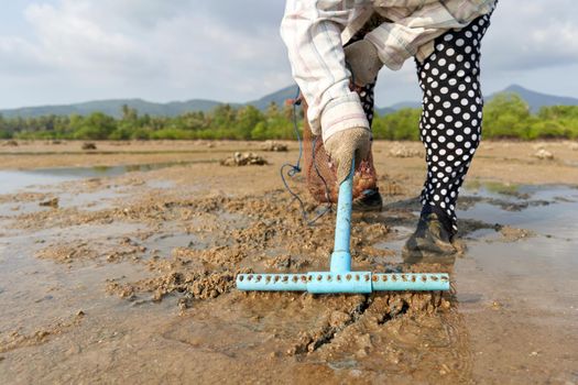 Ko Phangan, Thailand, March 15, 2022: woman using a rake to dig in the sand to find clams