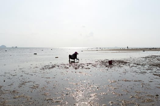 Ko Phangan, Thailand, March 15, 2022: copy space photo of an old woman looking for clams on the sea