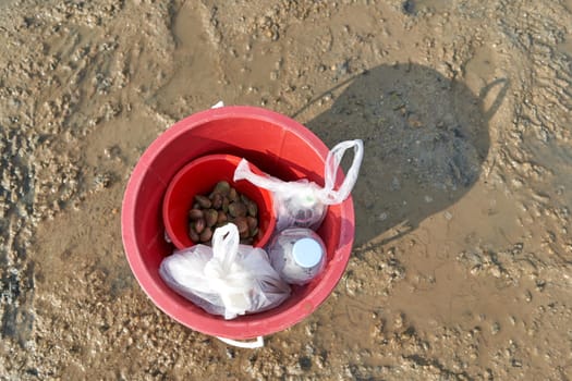 Ko Phangan, Thailand, March 15, 2022: pot on the beach with collected alive clams