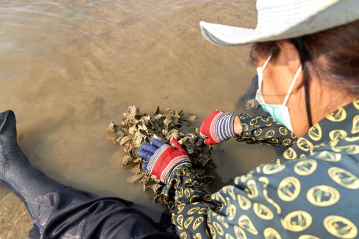 Ko Phangan, Thailand, March 15, 2022: top view of a woman collecting clams to suvive