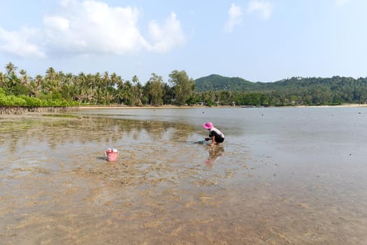 Ko Phangan, Thailand, March 15, 2022: aged woman on the sea searching for clams to survive