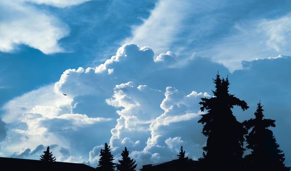 Birds and large cumulus clouds and silhouettes of objects in the foreground