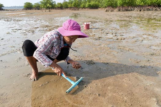 Ko Phangan, Thailand, March 15, 2022: old woman searching for clams on a beach to survive