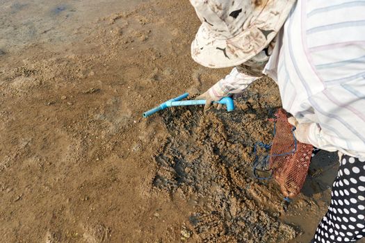 Ko Phangan, Thailand, March 15, 2022: aged covered woman digging with a rake in the sand for clams