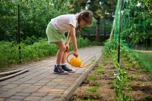 Inquisitive cute child, little girl using watering can, waters planted seedlings in the flowerbed in the countryside cottage backyard. Love and care nature since childhood. Learning of plants growing