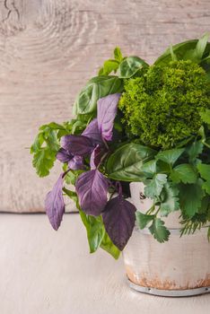 composition of fresh herbs in front of wooden background. High quality photo