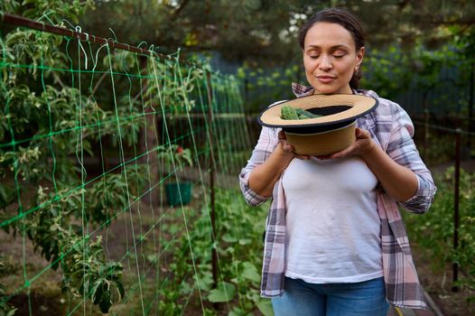 Beautiful woman gardener amateur, horticulturist, smelling freshly harvested ripe cucumbers in straw hat while working in an ecological farm. Growing organic vegetables. Agricultural hobby, gardening