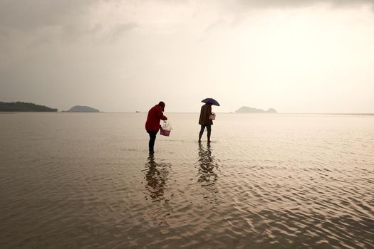 Ko Phangan, Thailand, March 15, 2022: silhouette of two women looking for clams in the sea