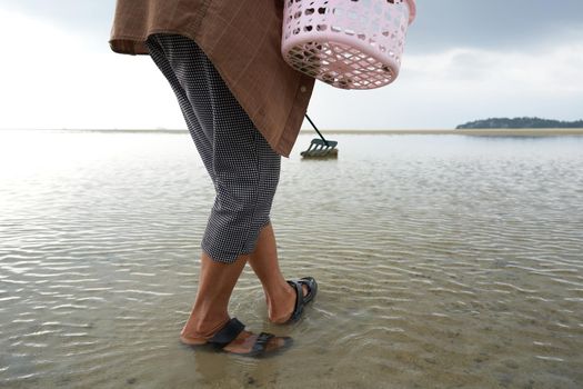 Ko Phangan, Thailand, March 15, 2022: legs of a person working collecting clams on the sea