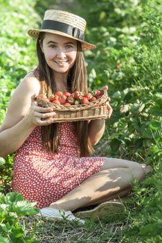 girl in strawberrry field with basket of fresh picked fruits