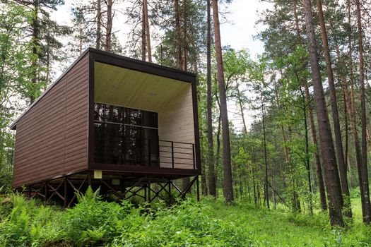 House or hotel with panoramic windows in pine forest. Beautiful summer morning with light sun. Nature or resting and travel concept