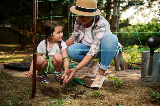 Loving mother learns her adorable inquisitive child, little girl to grow plants, planting seedlings in open ground. Love and care of nature since childhood. Environment conservation Day, Earth Day