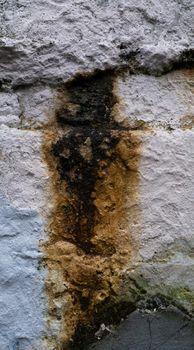 Texture of an old wall damaged by time and moisture. Fragment of wall with large leakage and mold in close-up.