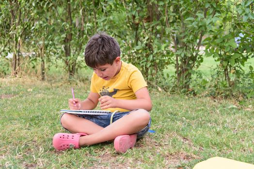 Young boy outdoors on the grass at backyard using his tablet computer. Educating and playing
