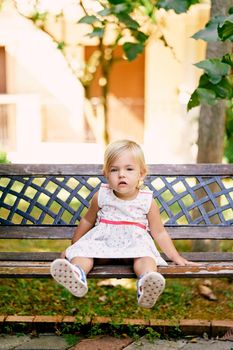 Little girl in a dress sits on a wooden bench in the park. High quality photo