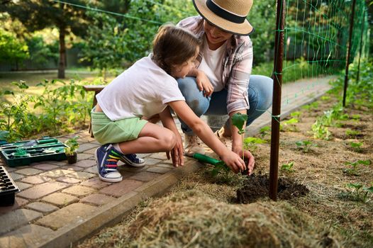 Little girl helping her mother in agriculture. Child education of nature and plant growing learn activity. To instill love and respect for nature from childhood, eco farming, horticulture, gardening