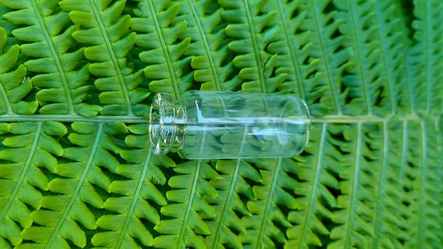 An empty bottle on the background of a green fern leaf. Glass container for cosmetic skin care products.