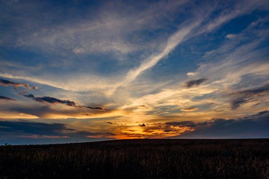 Sunset cloudy sky over the cereal field