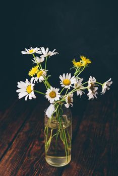 Small bouquet of wild chamomile flowers in glass vase on wooden table