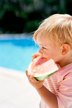 Little girl eats a watermelon, holding it with her hands. Side view. High quality photo