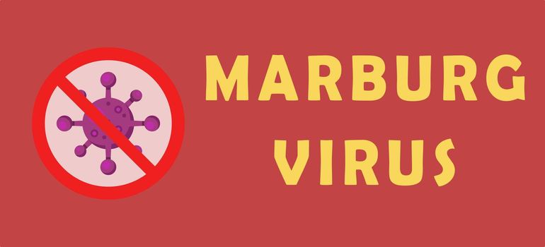 Stop Marburg virus concept. Marburg virus disease. Marburg virus disease (MVD) or Marburg haemorrhagic fever outbreak. Virus causes severe viral haemorrhagic fever in humans. Infectious disease.