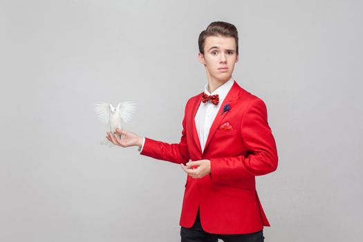 Portrait of confused gentleman with stylish hairdo in elegant red tuxedo and bow tie holding dove and looking at camera with embarrassed expression. indoor studio shot isolated on gray background