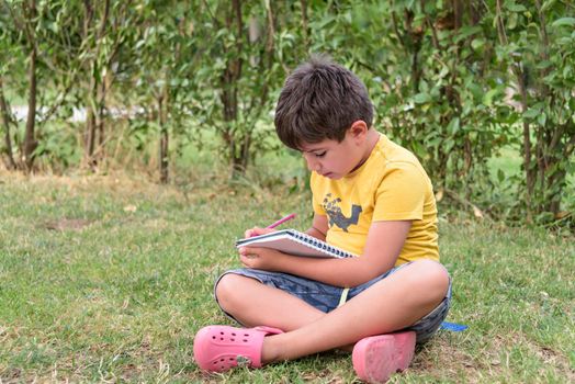 Young boy outdoors on the grass at backyard using his tablet computer. Educating and playing