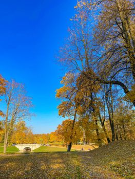 Park autumn landscape . Alleys of the park. A walk in the park. An article about autumn. Illustrating autumn articles.