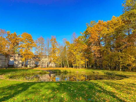 Park autumn landscape . Alleys of the park. A walk in the park. An article about autumn. Illustrating autumn articles.