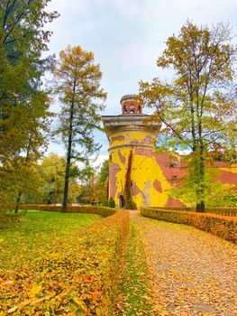 Park autumn landscape . Alleys of the park. A walk in the park. An article about autumn. Illustrating autumn articles.