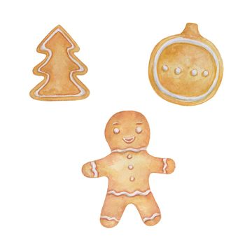 Watercolor gingerbread deer and man cookie. Painting symbol of Christmas. Hand drawn holiday illustration isolated on white background.