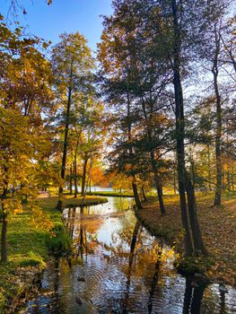 Park autumn landscape . Alleys of the park. A walk in the park. An article about autumn. Illustrating autumn articles.