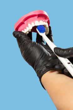 Close-up view of the hand with a human jaw layout and a toothbrush.