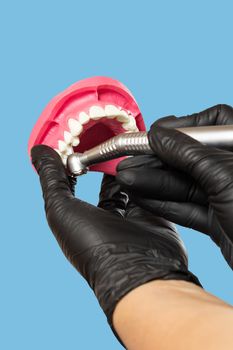 Head of high-speed dental handpiece with bur and a layout of the human jaw in dentist's hands. Dental instruments for dental treatment. Close-up view.