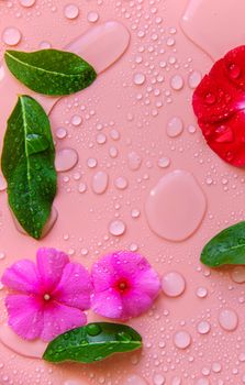 Background with water drops and flowers. Selective focus. Spa.