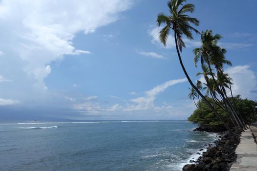 Coconut trees line sidewalk along rocky shore and clouds in the sky in Lahaina, Maui, Hawaii with Lanai in the distance