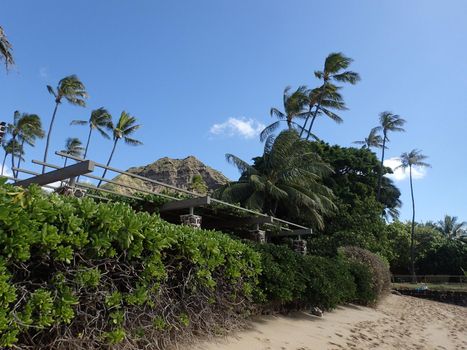 Makalei Beach with waves lapping, napakaa, and coconut trees along the shore on a wonderful day in Oahu, Hawaii.  January 2015.