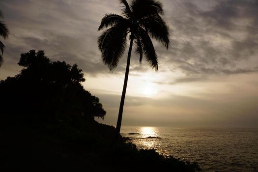 Sunrise over the ocean with waves crashing along rocky shore on a voggy Big Island Hawaii day with coconut trees palm silhouette hanging over the water.                               