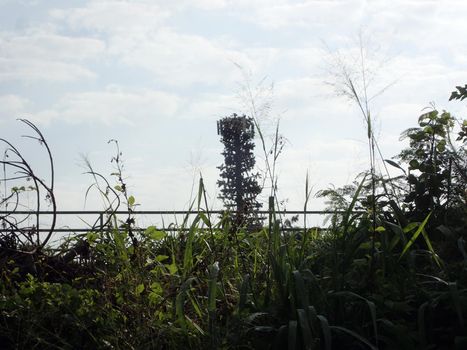 Telecommunication Cell tower mast as a tree seen behind tall grass and fence against the cloudy sky.