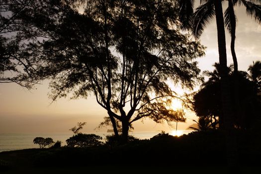 Early Morning Sunrise through the trees over an island and ocean on Waimanalo Beach on Oahu, Hawaii with clouds hanging in the air. 