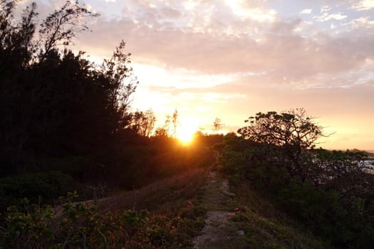 Sunset through the trees along a dirt path by the ocean on the North Shore of Oahu.    