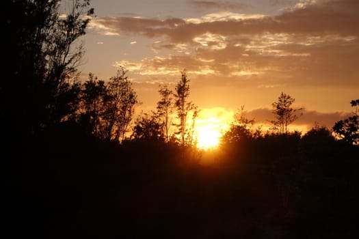 Sunset through the trees on the North Shore with clouds in the sky on Oahu. 