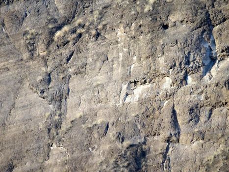 Diamond Head Crater Mountain Close-up with cracked rocks and plant brush.