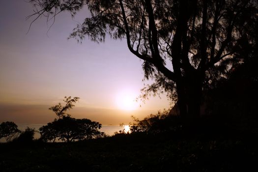 Early Morning Sunrise through the trees over an island and ocean on Waimanalo Beach on Oahu, Hawaii with clouds hanging in the air.