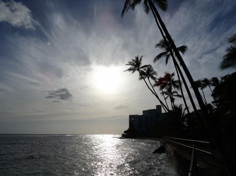 Sunsets over Waikiki waters as waves crash on sea wall at Makalei Beach Park with Coconut trees hanging over the ocean on Oahu, Hawaii.