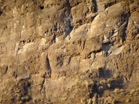 Diamond Head Crater Mountain Close-up with cracked rocks and plant brush.