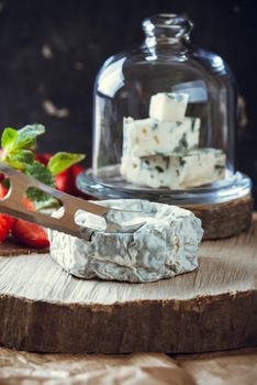 gourmet goat cheese with mold and soft liquid core . High quality photo