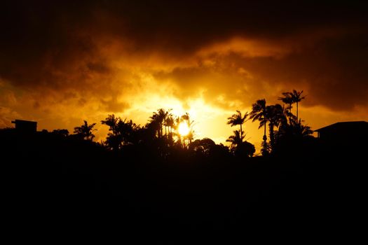 Sunset past tropical silhouette of trees through the clouds on Oahu, Hawaii.