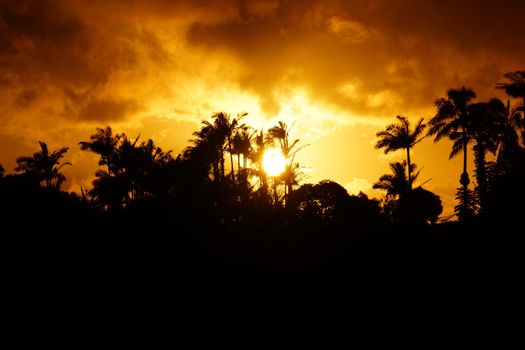 Sunset past tropical silhouette of trees through the clouds on Oahu, Hawaii.  August 2015.